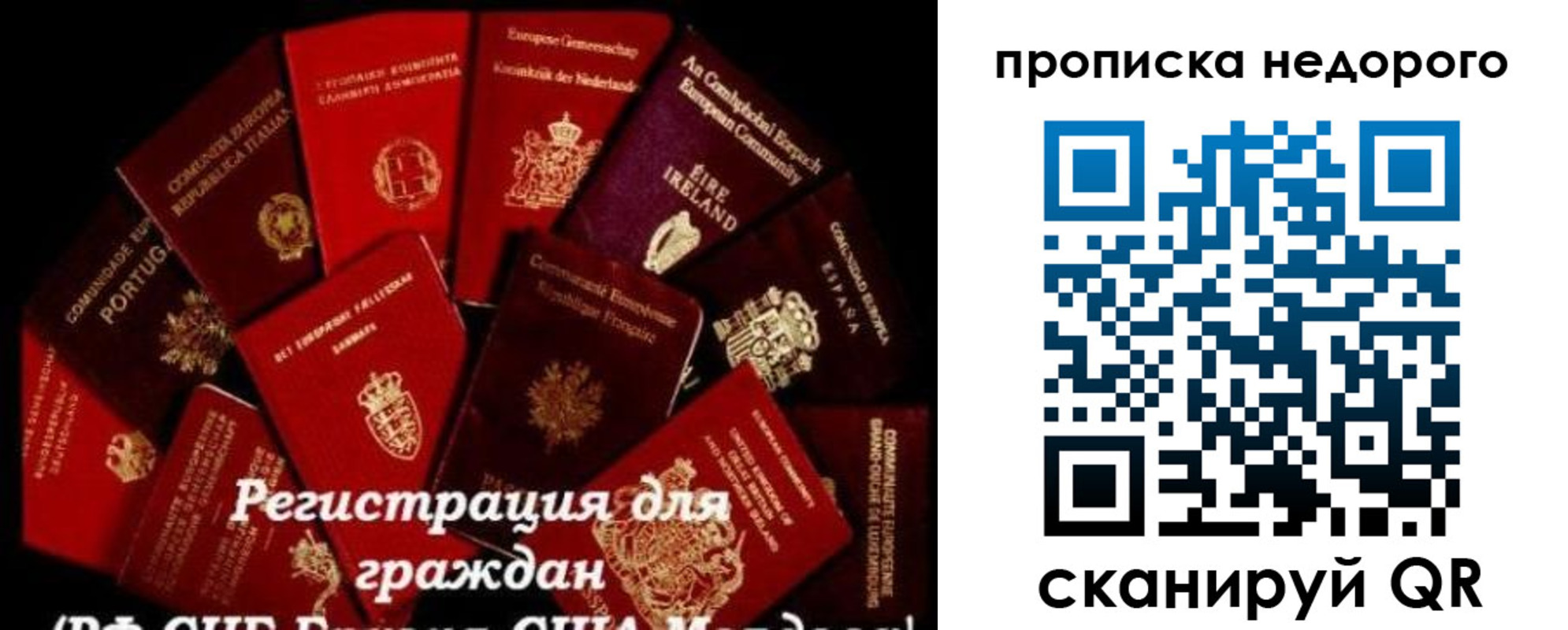 временная регистрация недорого в Североморске